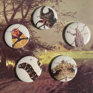 May include: Five round button badges featuring different insects. The badges are white with a black border and feature a variety of insects, including a beetle, a moth, a caterpillar, and a fly. The badges are approximately 2.5 cm in diameter.