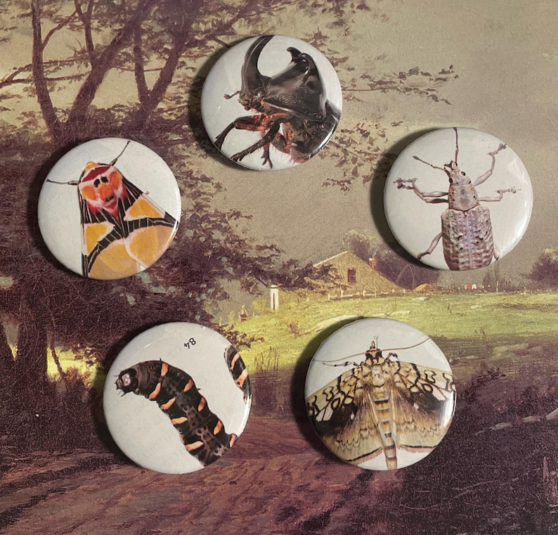 May include: Five round button badges featuring different insects. The badges are white with a black border and feature a variety of insects, including a beetle, a moth, a caterpillar, and a fly. The badges are approximately 2.5 cm in diameter.