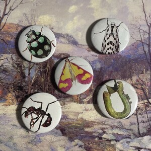 May include: Five round white buttons with different insect images. The buttons feature a green and black ladybug, a black and white moth, a pink and yellow moth, a green caterpillar, and a black ant.