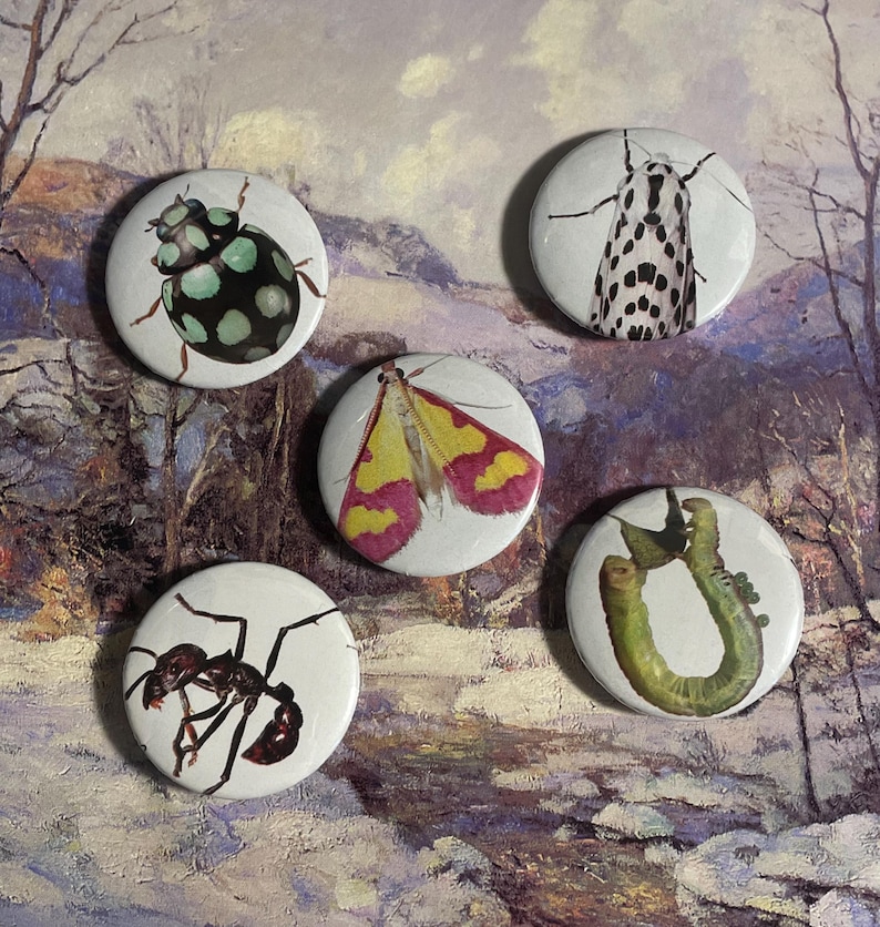 May include: Five round white buttons with different insect images. The buttons feature a green and black ladybug, a black and white moth, a pink and yellow moth, a green caterpillar, and a black ant.
