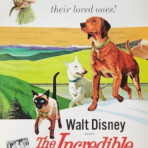 El viaje increíble: póster de película vintage original de la amada historia de Sheila Burnford sobre tres insólitos compañeros en un viaje a casa