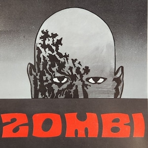 El amanecer de los muertos: un póster de película vintage original y poco común para la obra maestra de zombis suburbanos de George A. Romero con Ken Foree y Gaylen Ross.