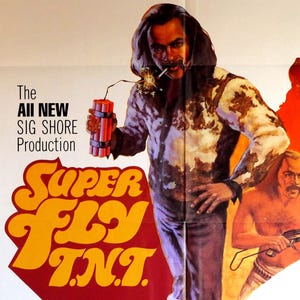 Super Fly TNT-An Original Vintage Movie Poster for Alex Haley's Explosive Super Fly Sequel with Ron O'Neal and Roscoe Lee Brown