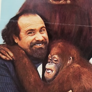 Going Ape!- Ein Original Vintage Filmplakat für die Simian Inheritance Komödie mit Tony Danza, Danny DeVito und drei nervtötenden Orang-Utangs