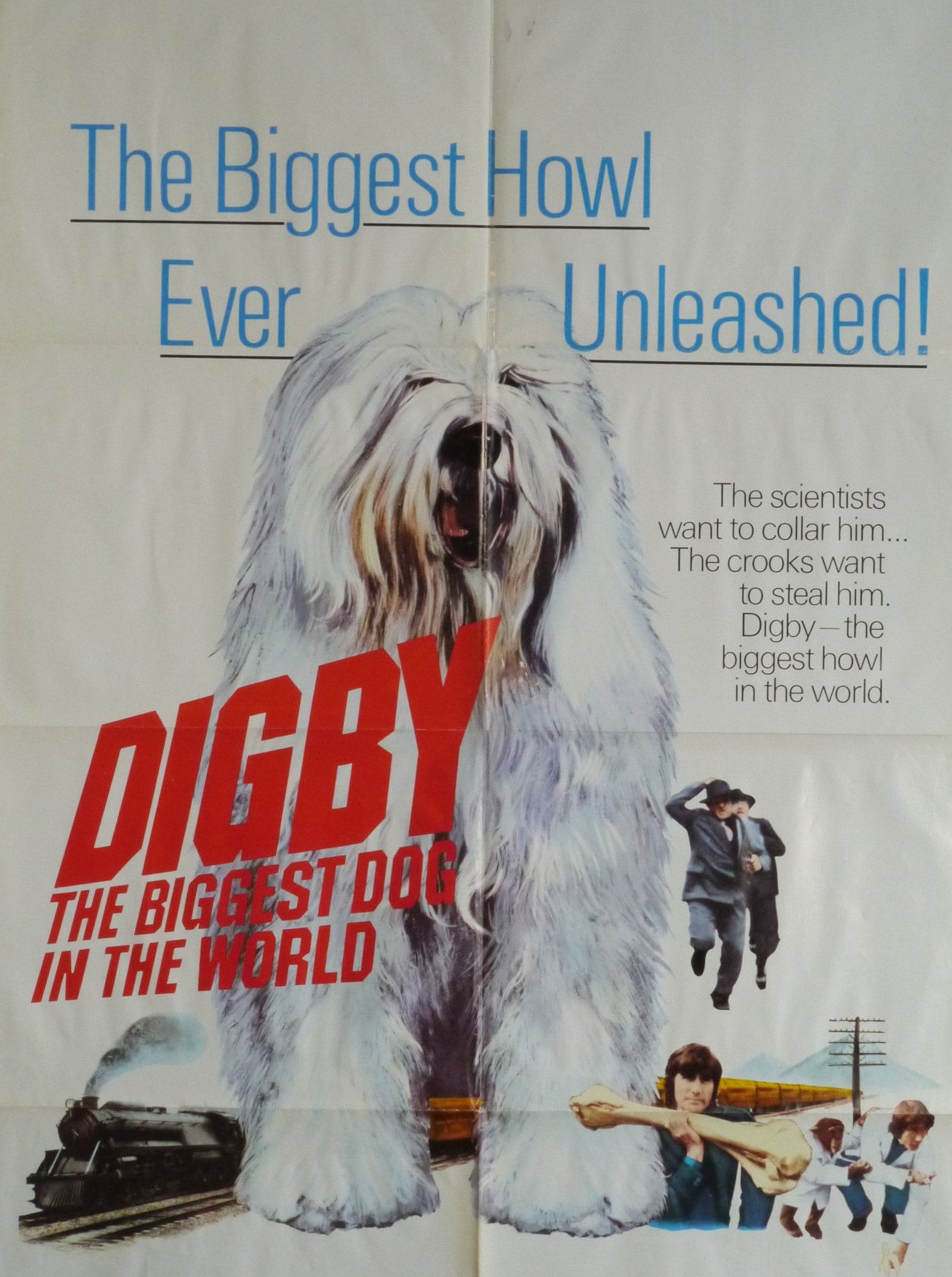 Digby The Biggest Dog in the WorldRare Original Vintage Etsy