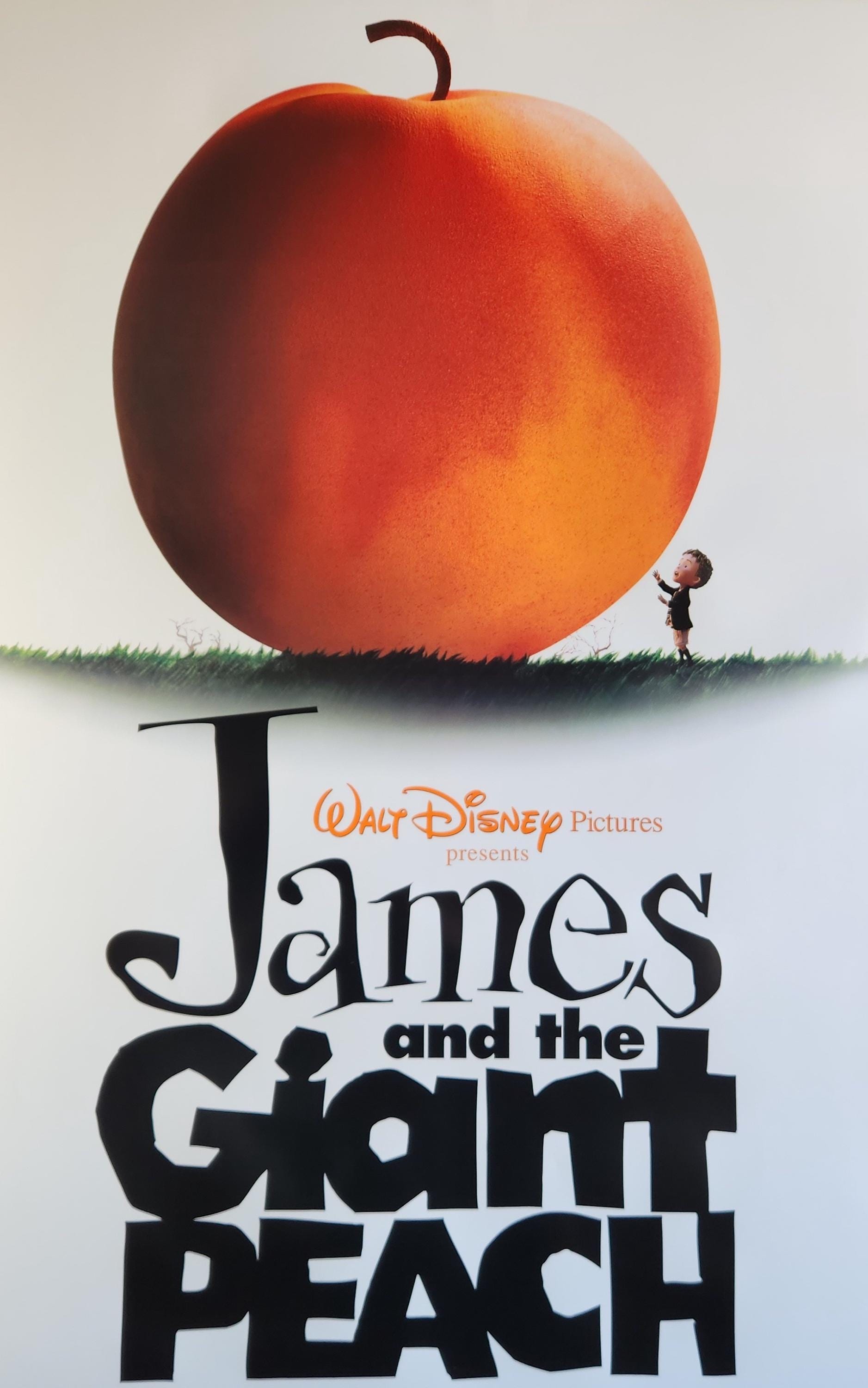 James and the Giant Peach Poster - Etsy