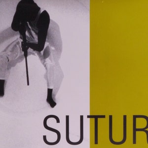 Suture: un póster de película vintage original para el impresionante thriller de identidad con Dennis Haysbert, Mel Harris, Sab Shimono y Michael Harris