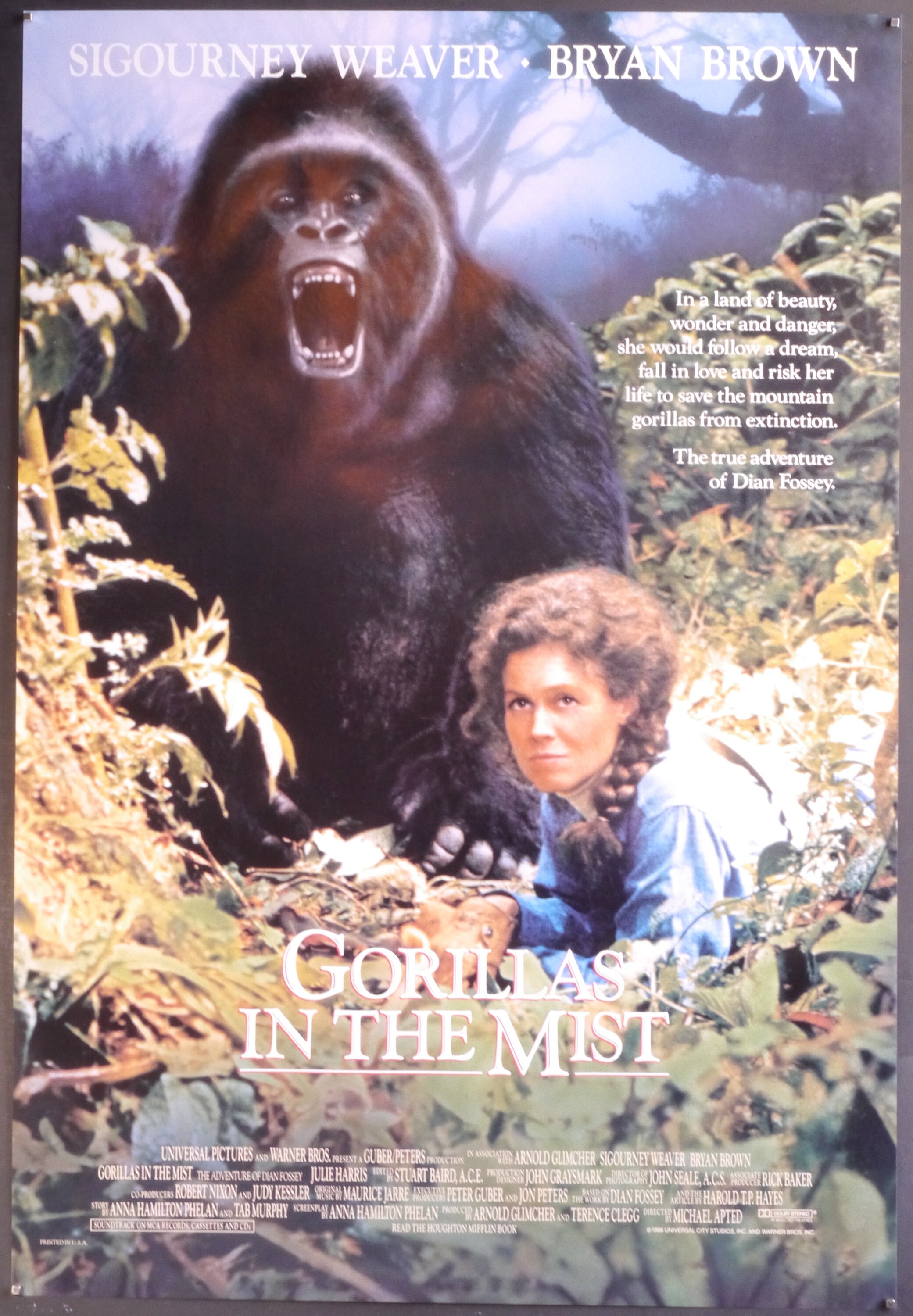 Gorillas In The Mist Movie