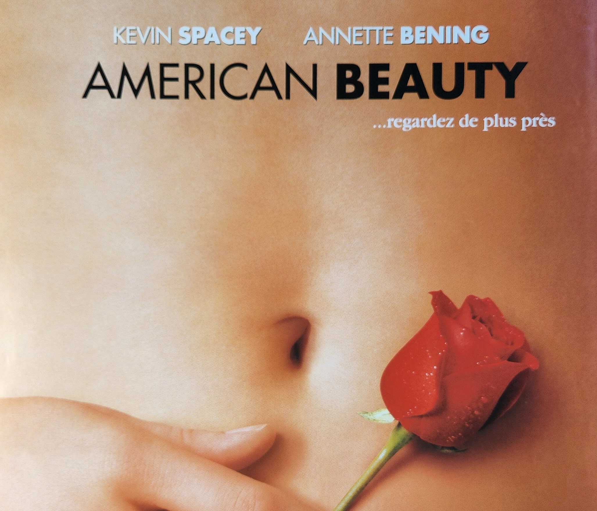 American Beauty