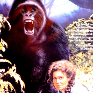 Gorilas en la niebla: póster original de la película vintage sobre la biografía de Dian Fossey escrita por Michael Apted, protagonizada por Sigourney Weaver y Bryan Brown.