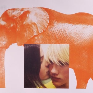 Elefante-Original Póster de película vintage de Gus Van Sant's Portrait of Highschool en un día como ningún otro con John Robinson y Carrie Finklea