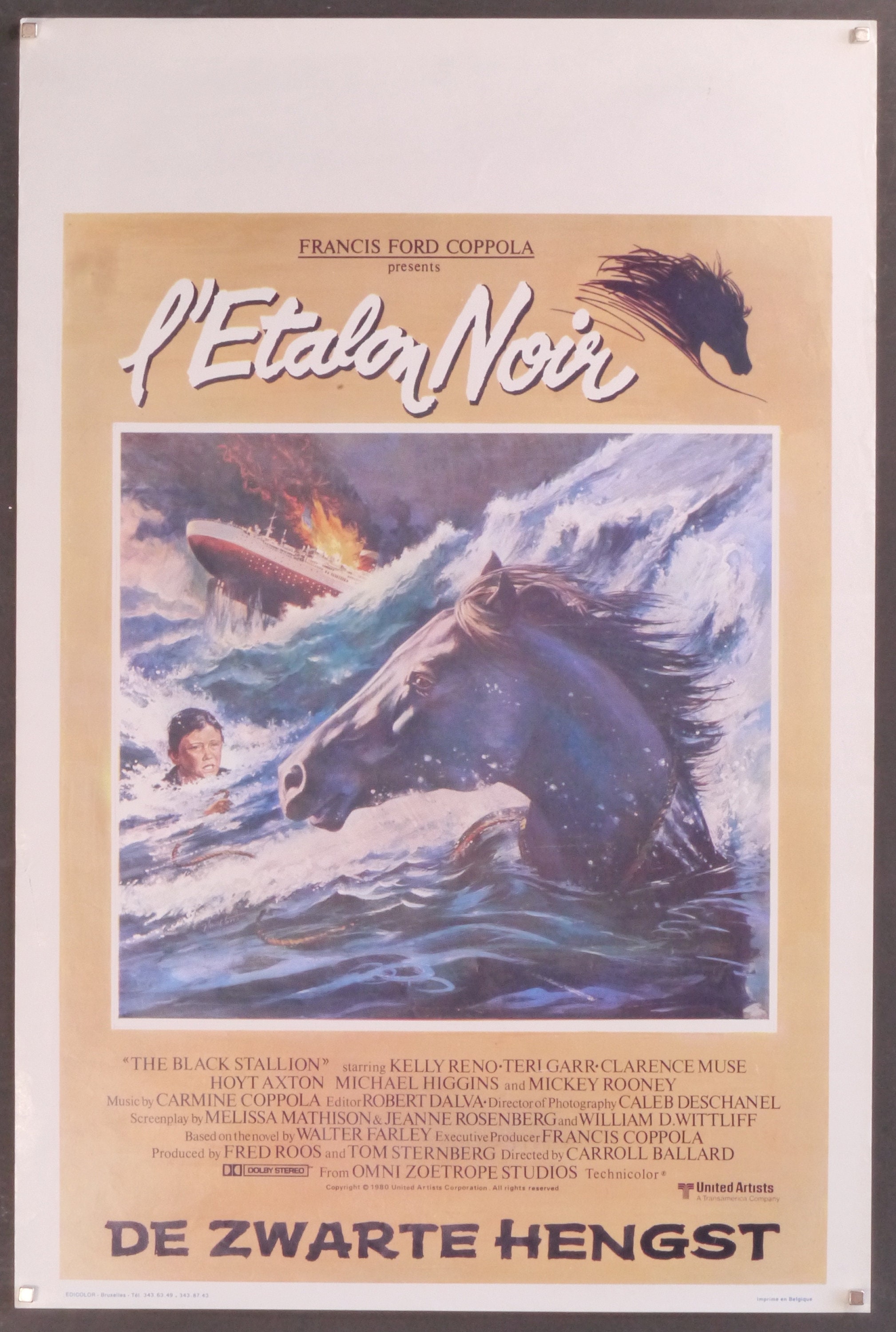 ワイルドブラックTHE BLACK STALLION USオリジナル映画ポスター il_fullxfull.2977711242_n3vi.jpg