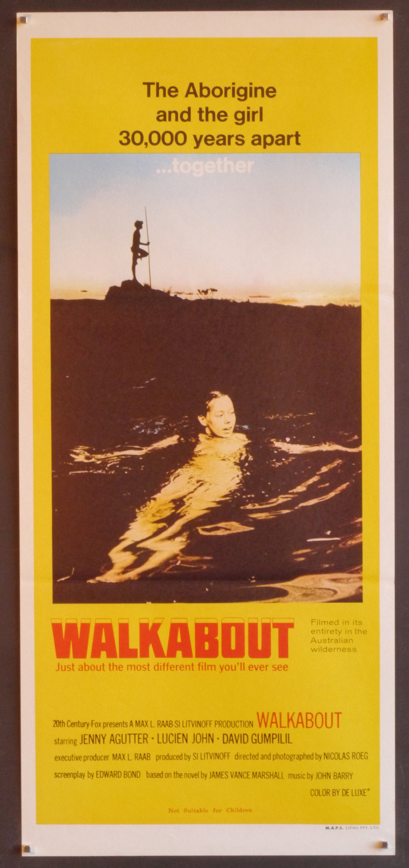 WALKABOUT DVD アートブック ニコラス・ローグ監督 il_fullxfull.2722388711_aace.jpg