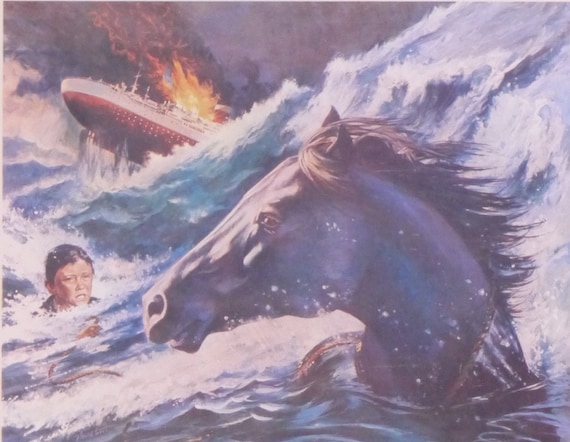 ワイルドブラックTHE BLACK STALLION USオリジナル映画ポスター Amazon.com: The Black Stallion Movie Poster Print (27 x 40