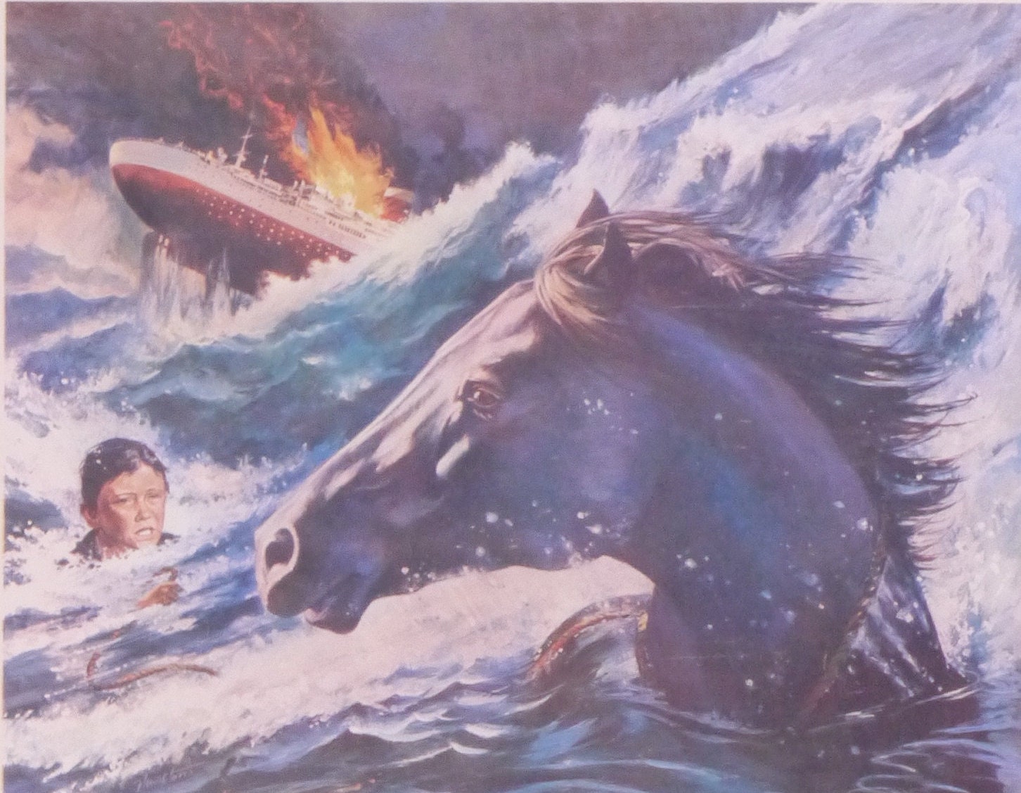 The Black Stallion-an Original Vintage Movie Poster of