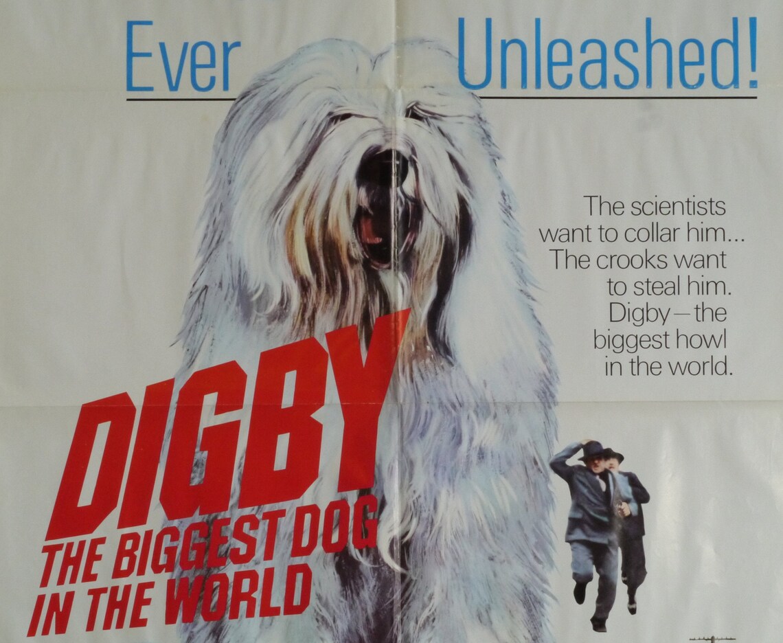 Digby The Biggest Dog in the WorldRare Original Vintage Etsy