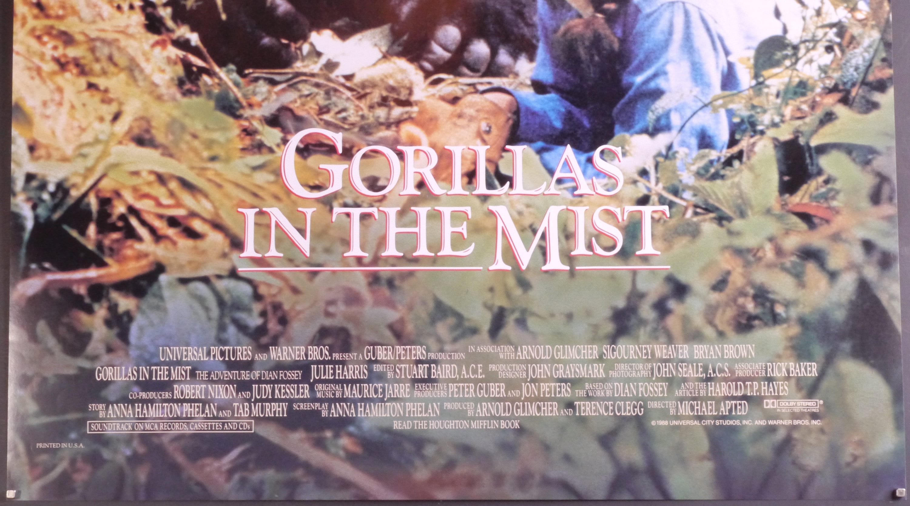 Gorillas in the Mist-an Original Vintage Movie Poster for Michael Apted ...