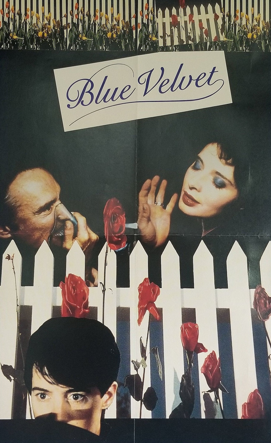 Blue Velvet-An Original Vintage Movie Poster of David