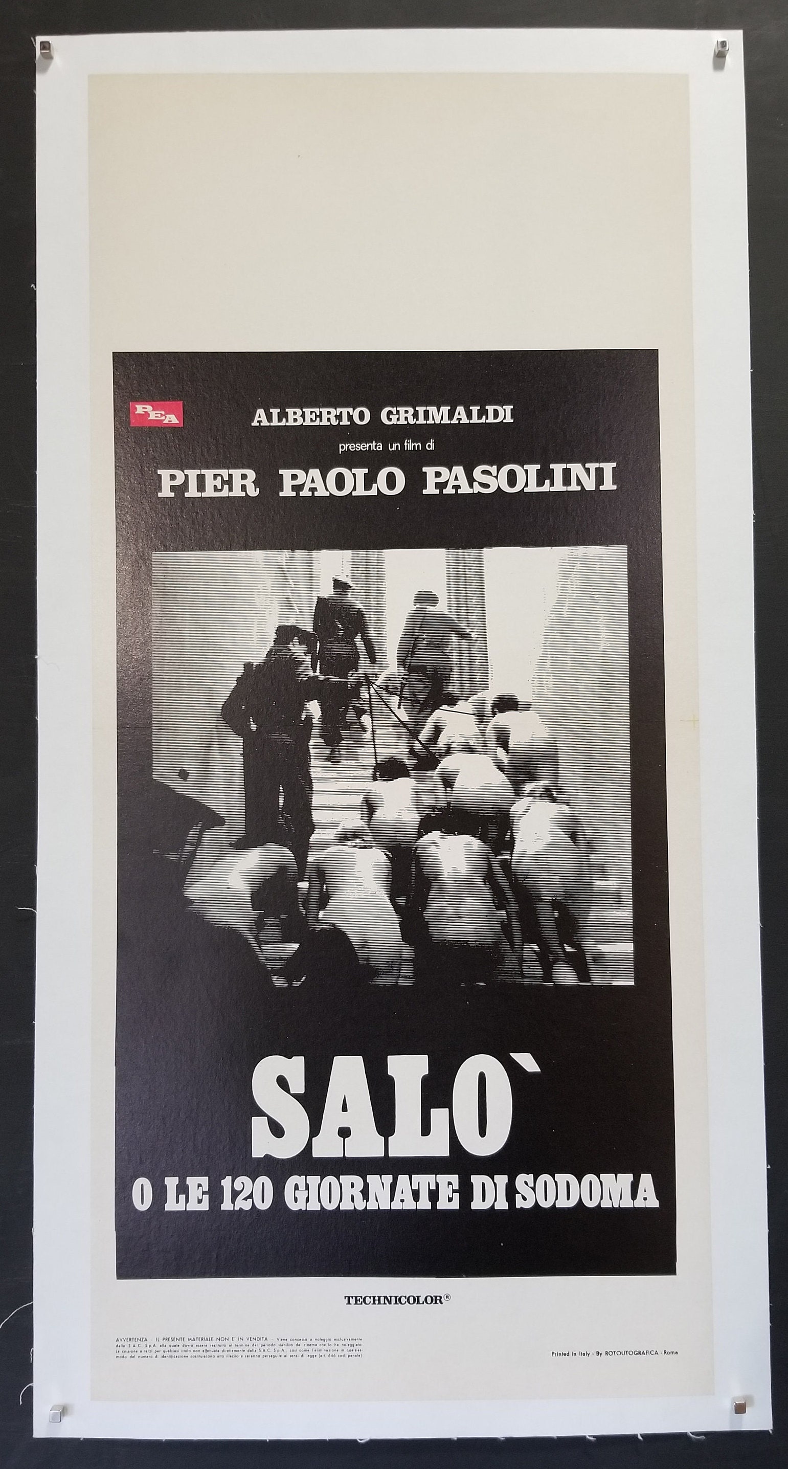 Salo (1975) North American Laserdisc – Rare VHS and LaserDiscs, image size:1541x2872