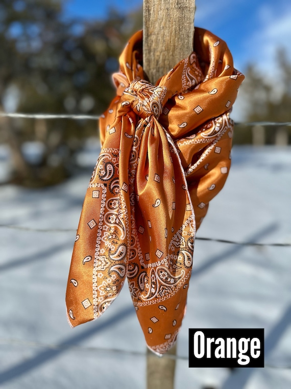 Bandana Print Silky Charmeuse Wild Rag // Wild Rags for  display picture 1