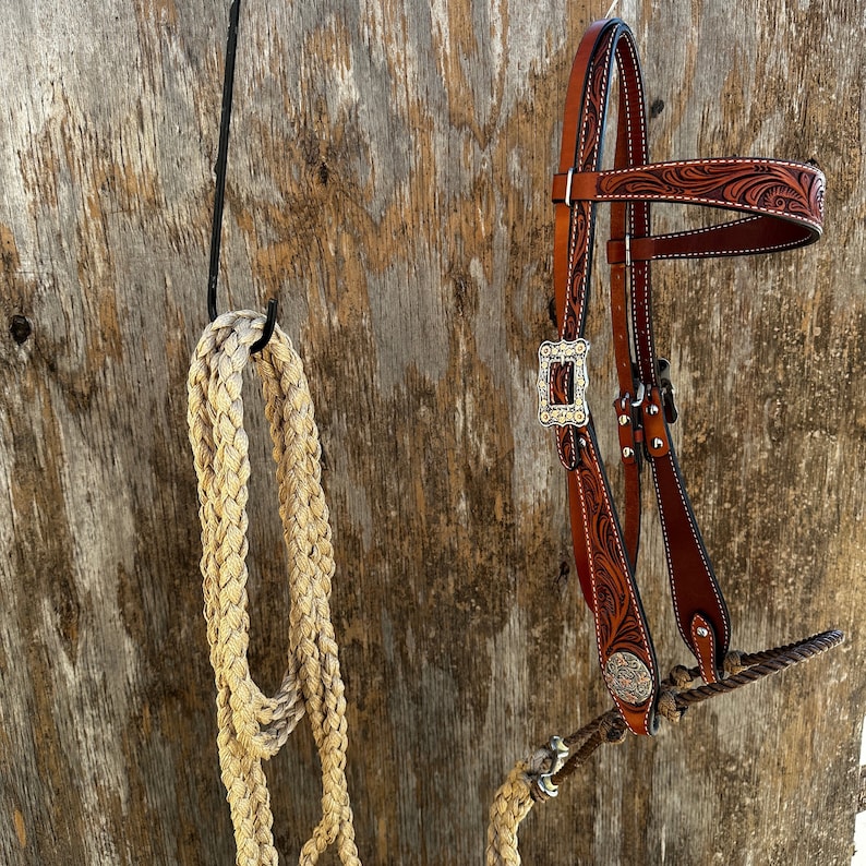 RodeoDriveConchos Buckaroo Loping Hackamore - Thumbnail 4