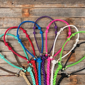 Lariat Noseband and Lead - Assorted Colors