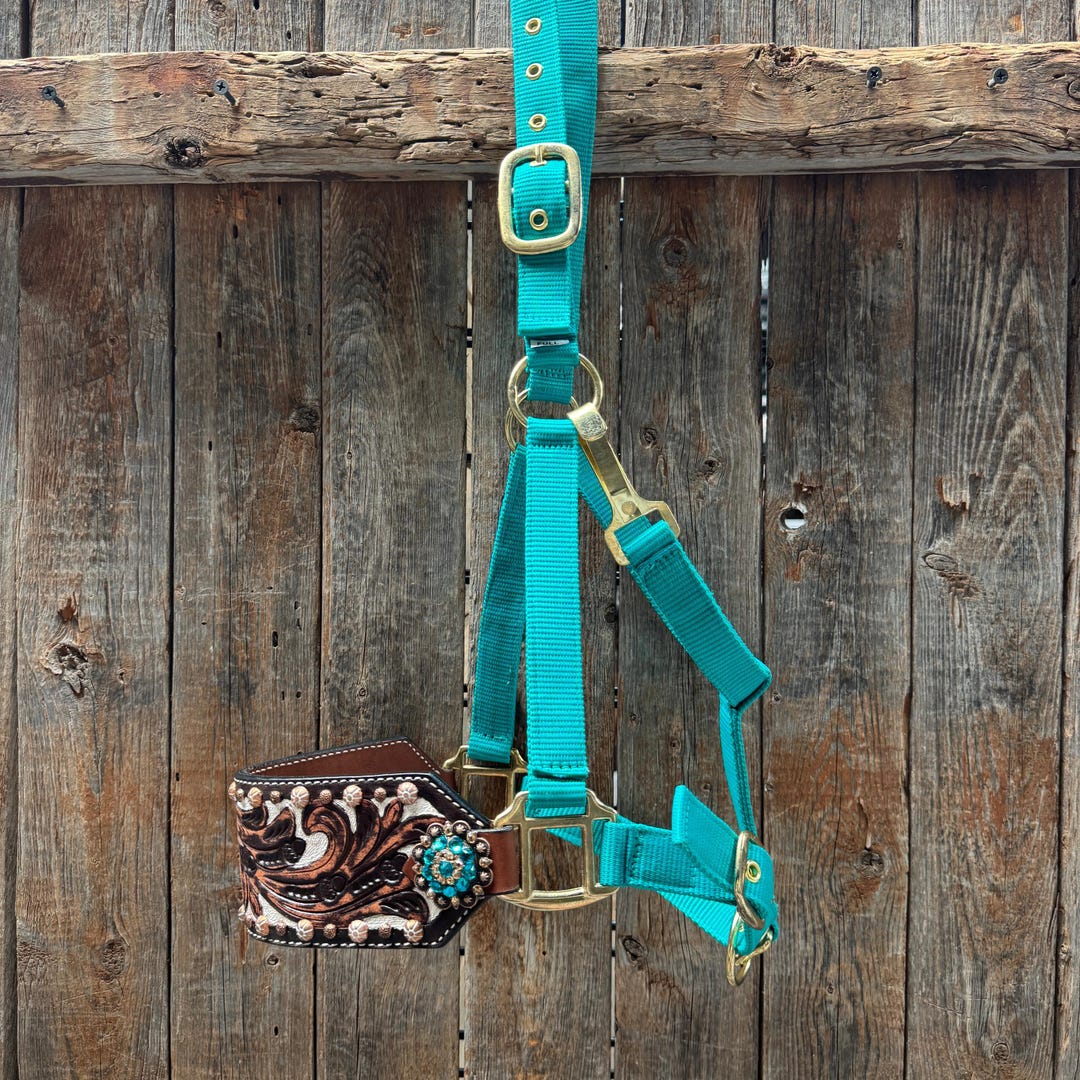 Cabestro Para Caballo Challenger Horse Muserola Tack Bronc | Cuotas sin interés
