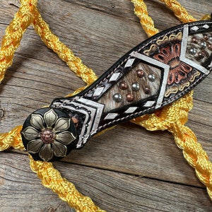 Showman ® sunflower mule tape halter and lead.