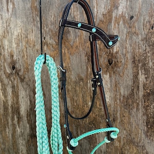 Könnte beinhalten: Ein braunes Leder-Pferdehalfter mit türkisfarbenen Akzenten, das an einem Haken mit einem türkisfarbenen geflochtenen Seil hängt.