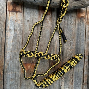Gold and Black Mule Tape Halter