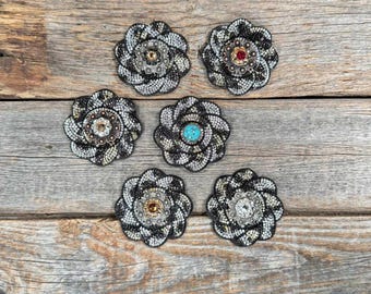 Gepardblomma Strassrosett - Blandade Conchos