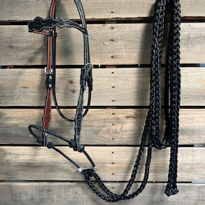 Könnte beinhalten: Ein schwarzes Leder-Pferdehalfter mit einem dekorativen Blumenmuster und einer schwarzen geflochtenen Seilzügel.