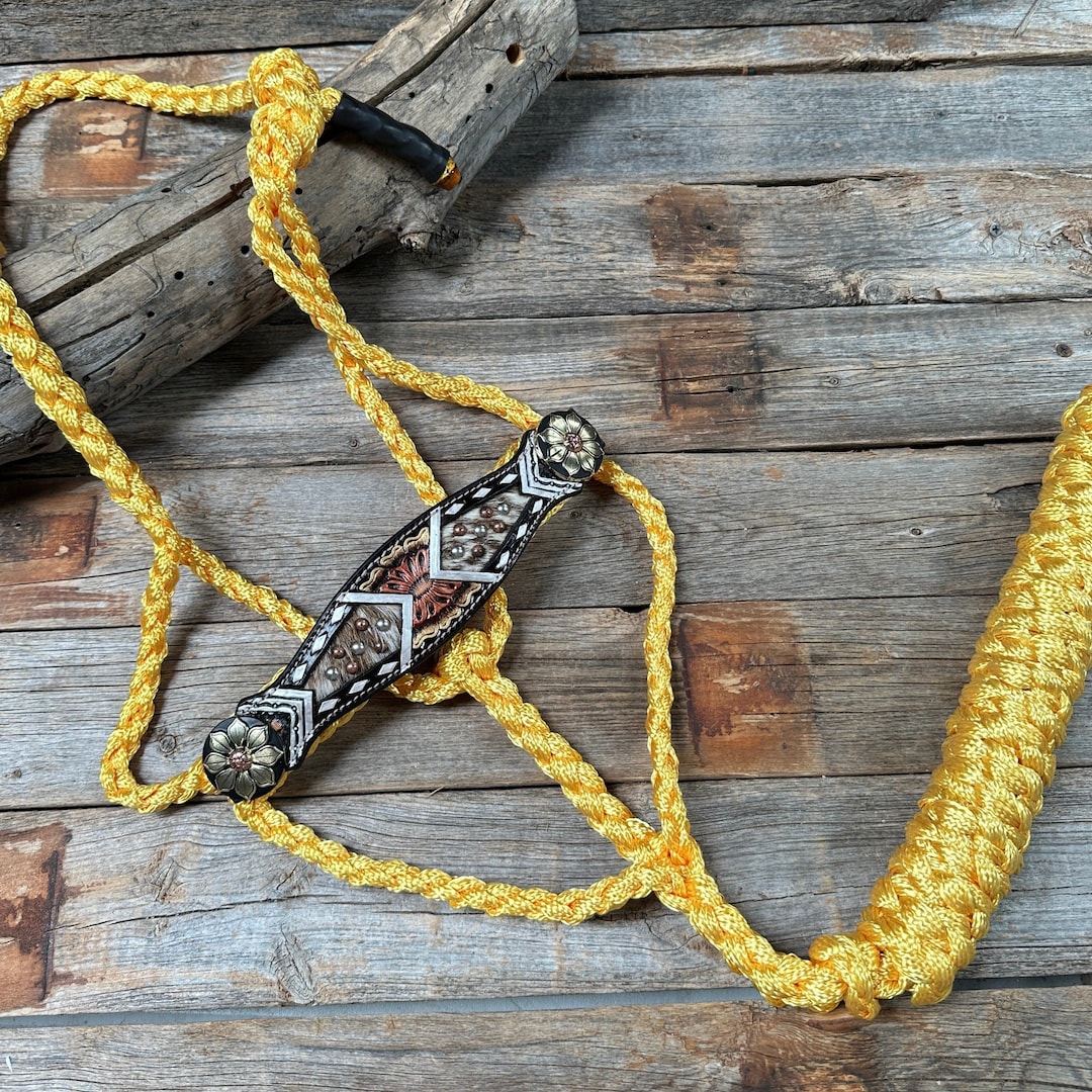 Showman ® sunflower mule tape halter and lead. main image 0