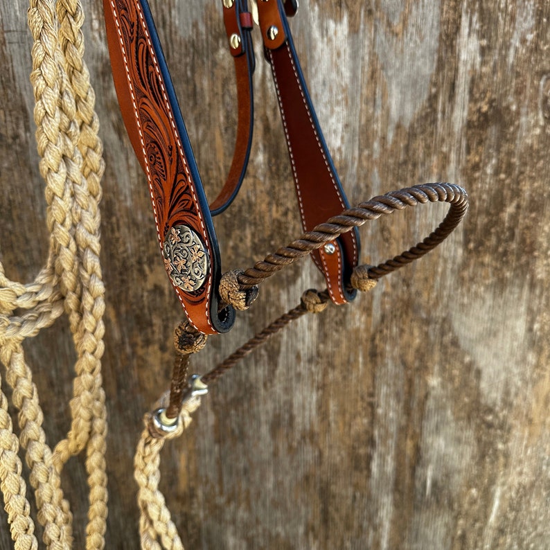 RodeoDriveConchos Buckaroo Loping Hackamore - Thumbnail 2