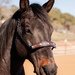 Black Mule Tape Halter -Turquoise Cabochon #MT226