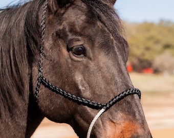 Ruban noir pour mules avec licou sur muserolle lariat