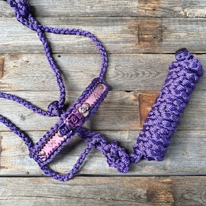 Purple Mule Tape Halter - Purple Roses #MT222