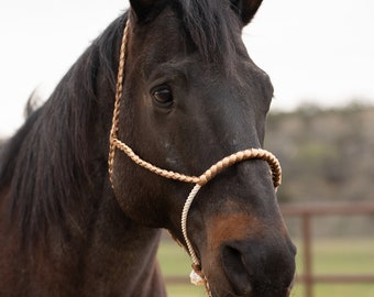 Brown and Tan Mule Tape with Lariat Noseband Halter