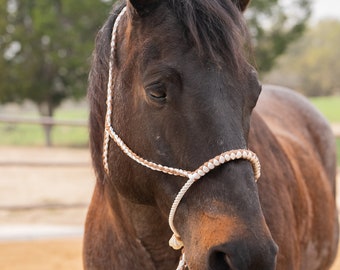 Brown and White Mule Tape with Lariat Noseband Halter