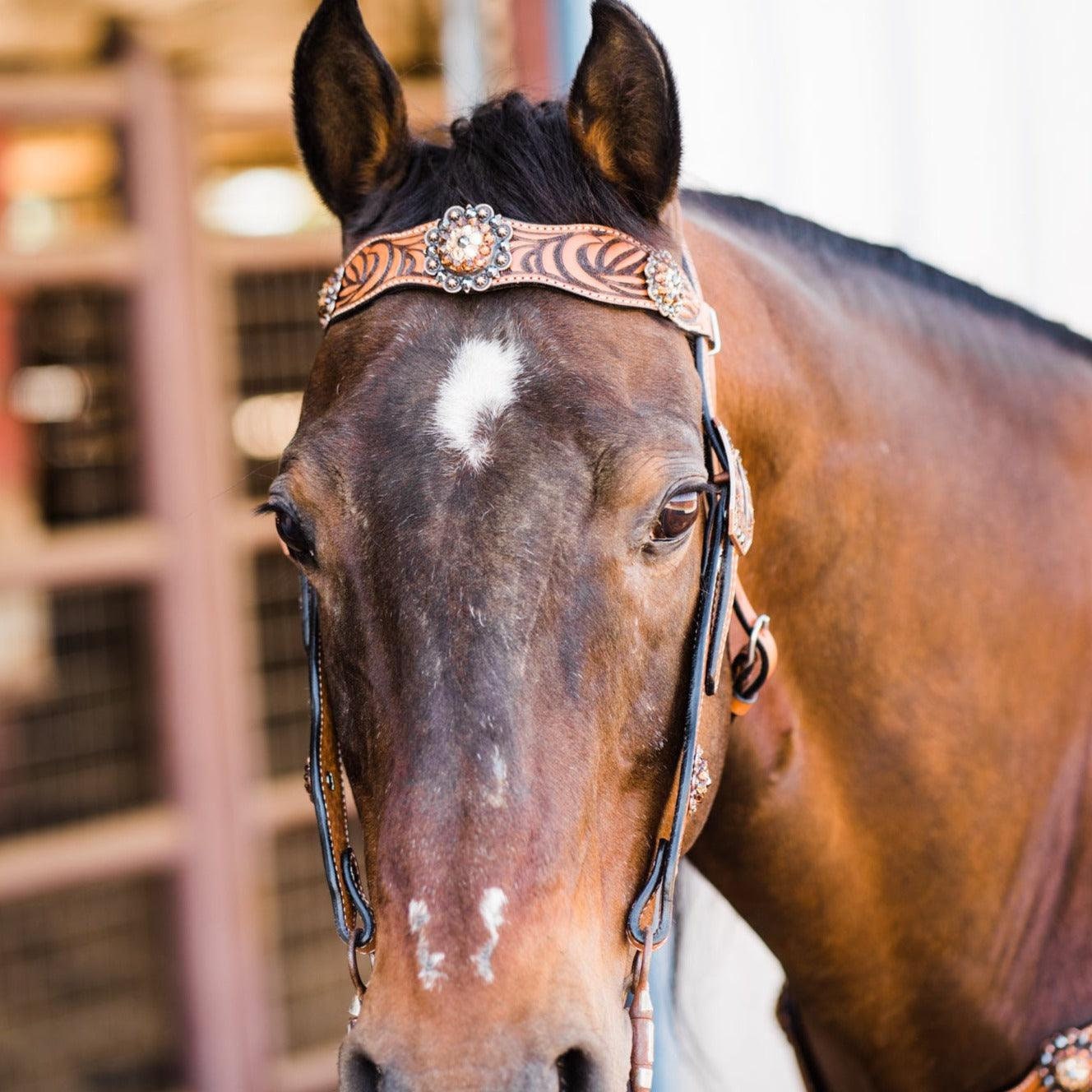 Zebra Jet Zebra Jet and Topaz Browband / Breastcollar Tack Set #BBBC544 - Etsy