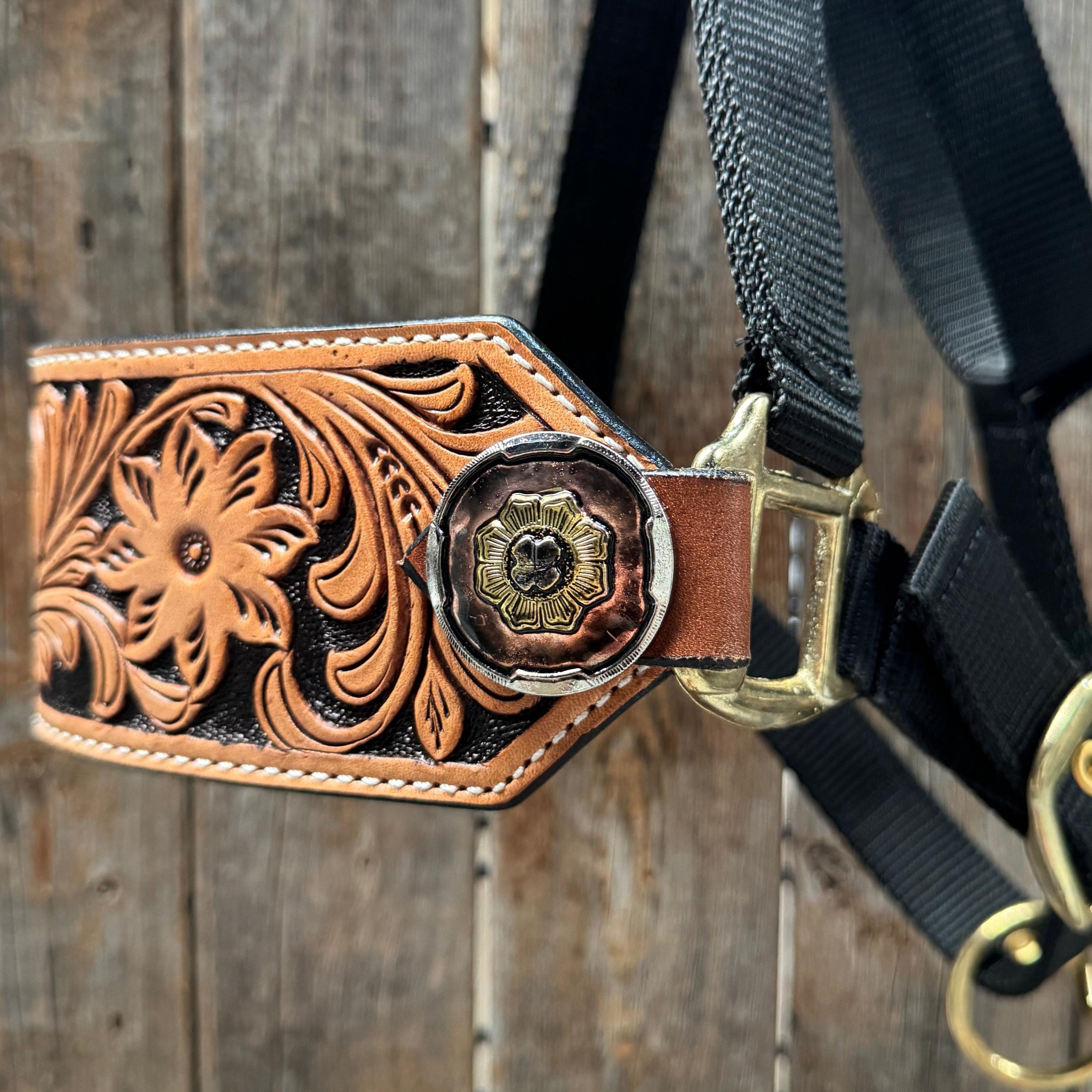 Haltères de nez bronc - France
