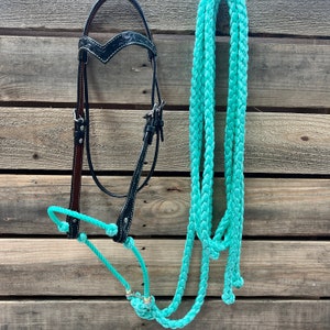 Könnte beinhalten: Ein schwarzes Leder-Pferdehalfter mit einem türkisfarbenen geflochtenen Seilhalfter.