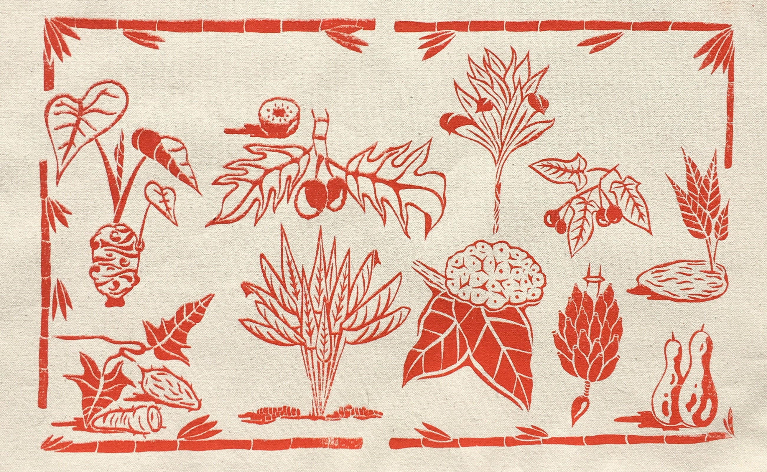 Hawaiian Canoe Plants Etsy