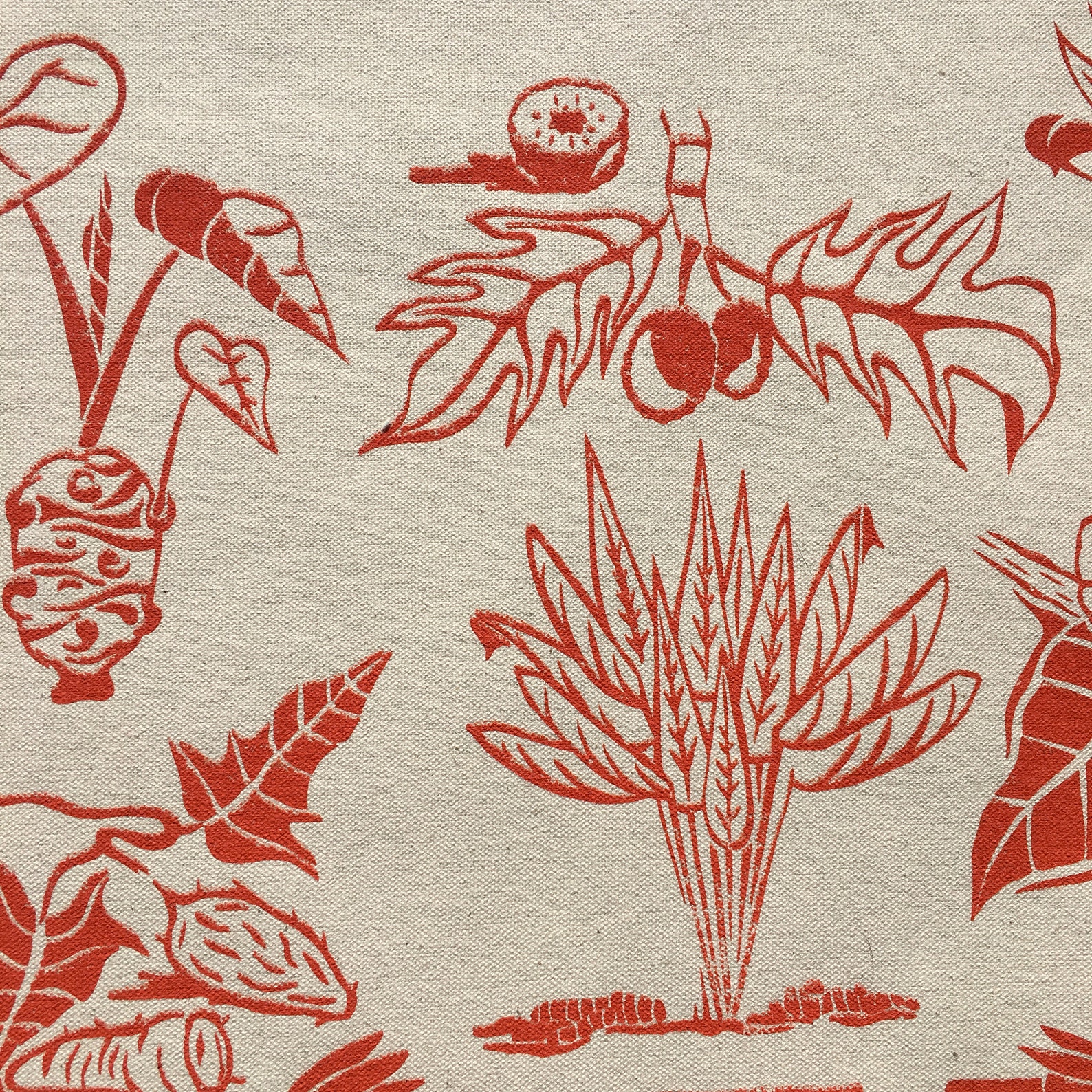 Hawaiian Canoe Plants Etsy