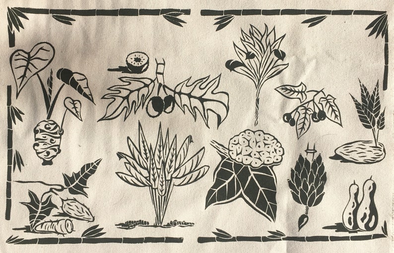 Hawaiian Canoe Plants Etsy