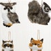 see more listings in the Animal y Mascota section