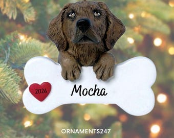 Decorazione natalizia personalizzata con Labrador color cioccolato / Decorazione personalizzata con Labrador marrone e nome / Regalo di Natale per il proprietario di un Labrador / Decorazione commemorativa personalizzata per cani
