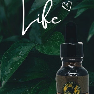 HEMM-uuh-rrooids Beee GONE! Tincture (Undiluted)