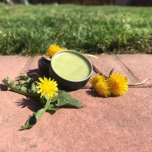 Dandelion Skin Salve