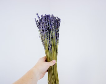 Dried Lavender Bunch- Dried Lavender Bundle